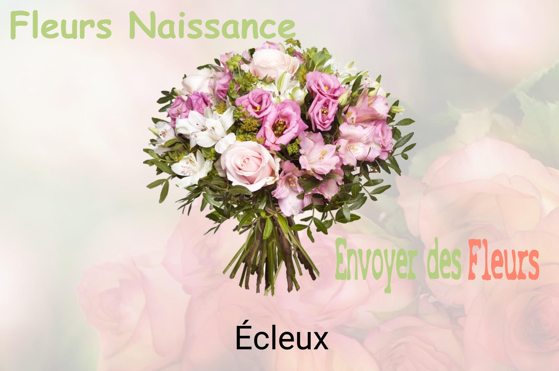 Bouquet de fleurs de naissance livré à Écleux