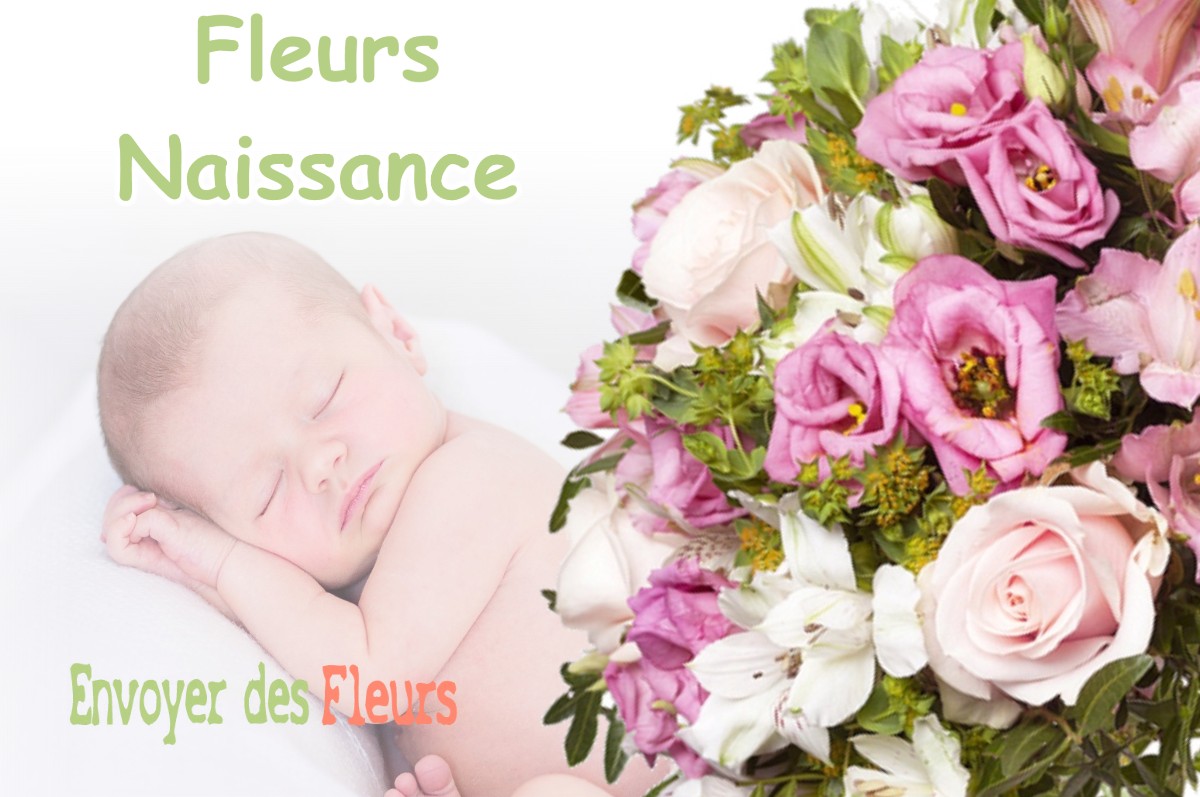 lIVRAISON FLEURS NAISSANCE à ECLEUX